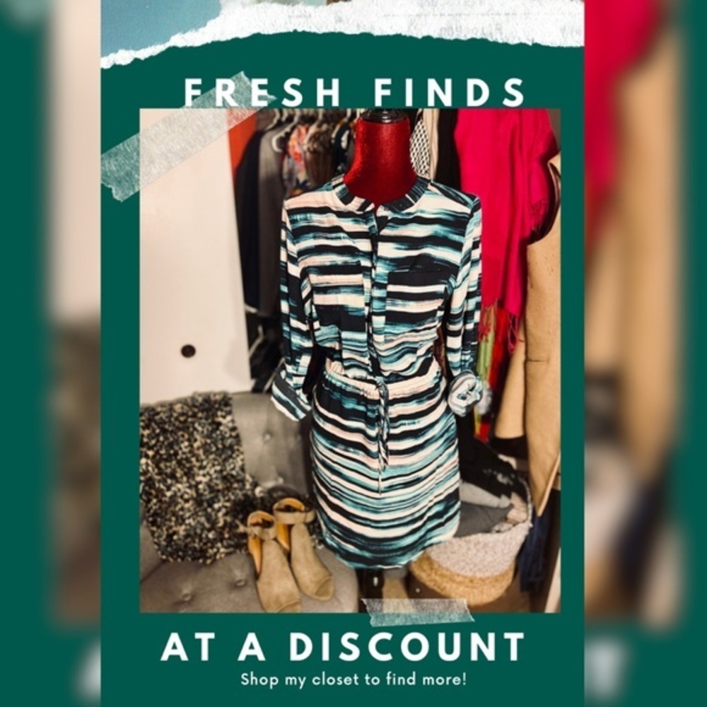 Express Shirt Dress